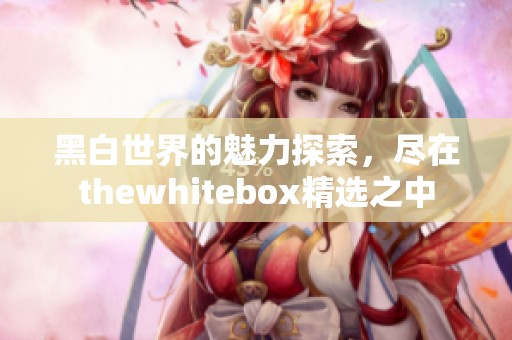 黑白世界的魅力探索，尽在thewhitebox精选之中