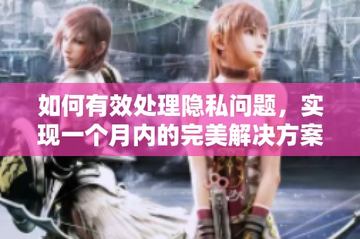 如何有效处理隐私问题，实现一个月内的完美解决方案