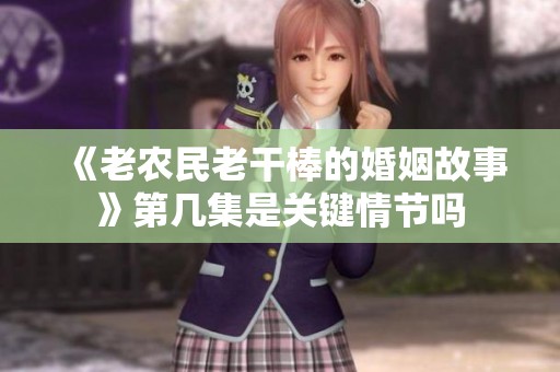 《老农民老干棒的婚姻故事》第几集是关键情节吗