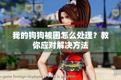 我的狗狗被困怎么处理？教你应对解决方法