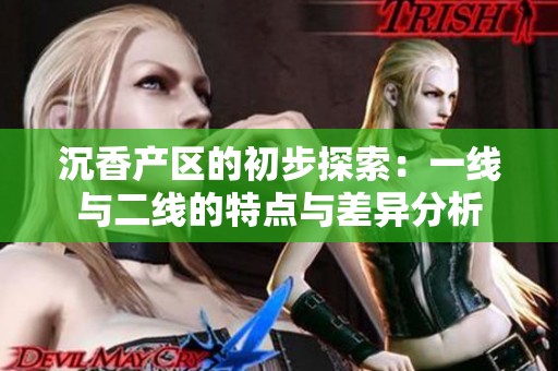 沉香产区的初步探索：一线与二线的特点与差异分析