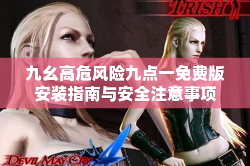 九幺高危风险九点一免费版安装指南与安全注意事项