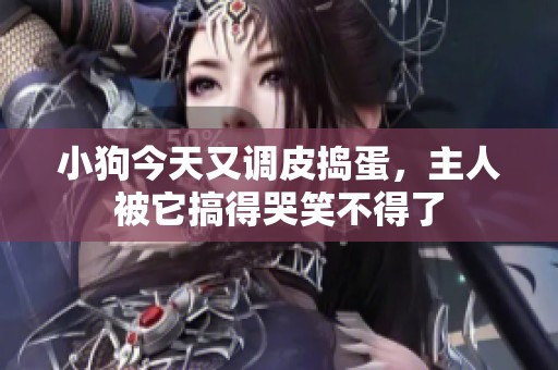 小狗今天又调皮捣蛋，主人被它搞得哭笑不得了