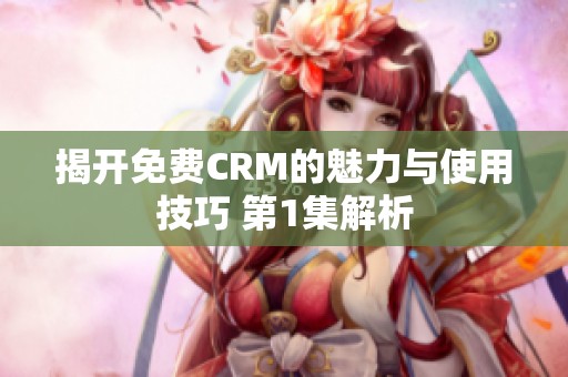 揭开免费CRM的魅力与使用技巧 第1集解析