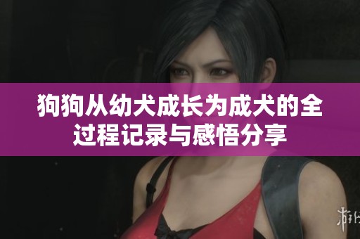 狗狗从幼犬成长为成犬的全过程记录与感悟分享