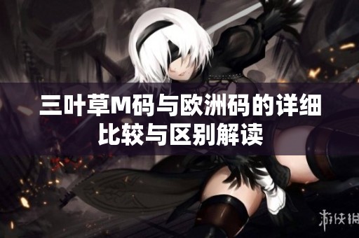 三叶草M码与欧洲码的详细比较与区别解读