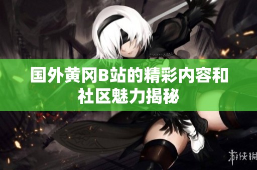 国外黄冈B站的精彩内容和社区魅力揭秘