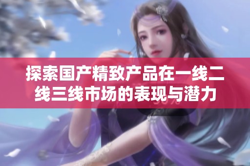探索国产精致产品在一线二线三线市场的表现与潜力