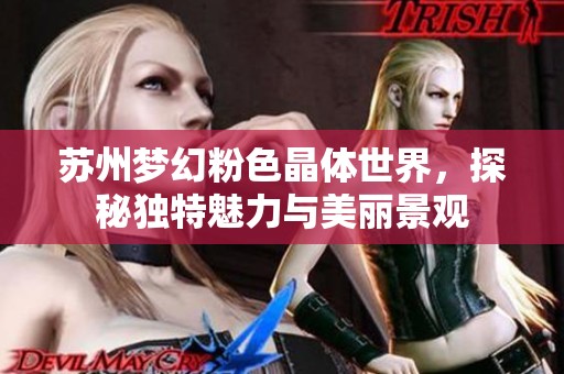 苏州梦幻粉色晶体世界，探秘独特魅力与美丽景观