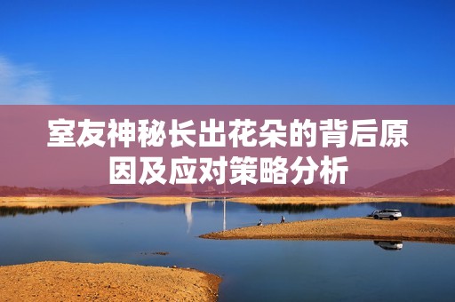 室友神秘长出花朵的背后原因及应对策略分析
