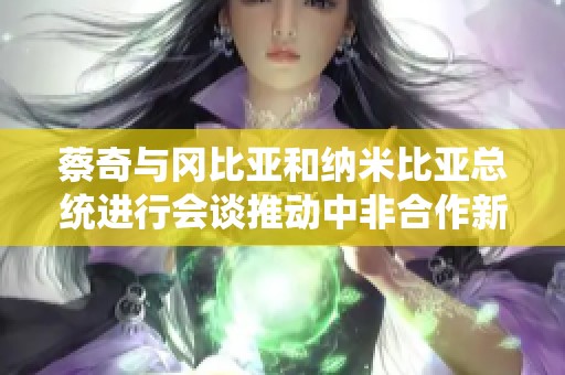 蔡奇与冈比亚和纳米比亚总统进行会谈推动中非合作新发展