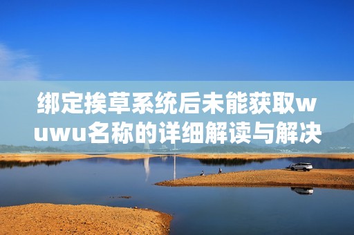 绑定挨草系统后未能获取wuwu名称的详细解读与解决方案