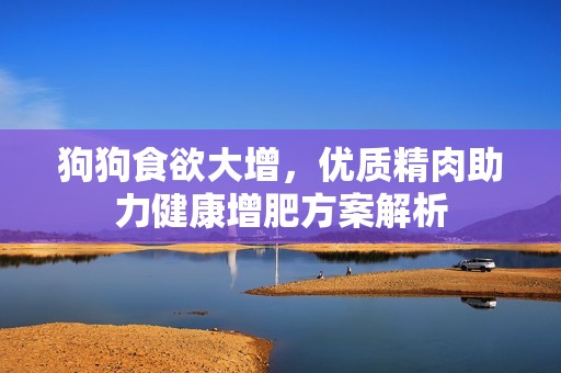 狗狗食欲大增，优质精肉助力健康增肥方案解析