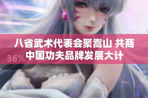 八省武术代表会聚嵩山 共商中国功夫品牌发展大计
