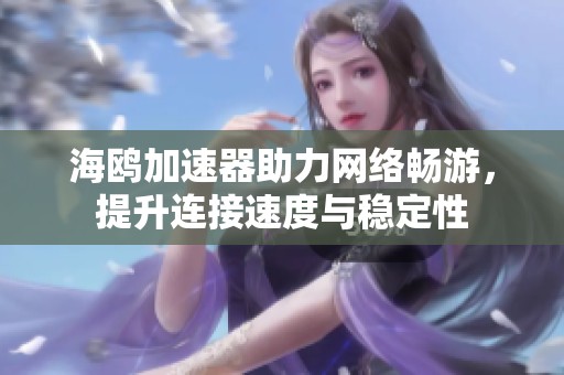 海鸥加速器助力网络畅游，提升连接速度与稳定性