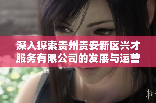 深入探索贵州贵安新区兴才服务有限公司的发展与运营模式