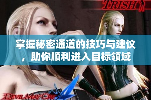 掌握秘密通道的技巧与建议，助你顺利进入目标领域