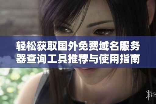 轻松获取国外免费域名服务器查询工具推荐与使用指南