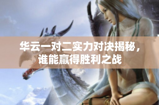 华云一对二实力对决揭秘，谁能赢得胜利之战