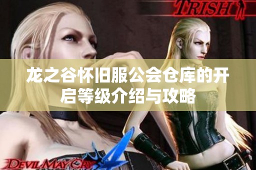 龙之谷怀旧服公会仓库的开启等级介绍与攻略
