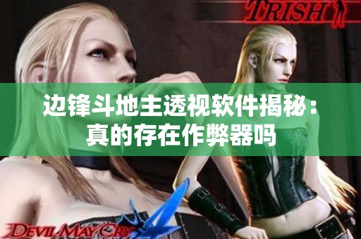 边锋斗地主透视软件揭秘：真的存在作弊器吗