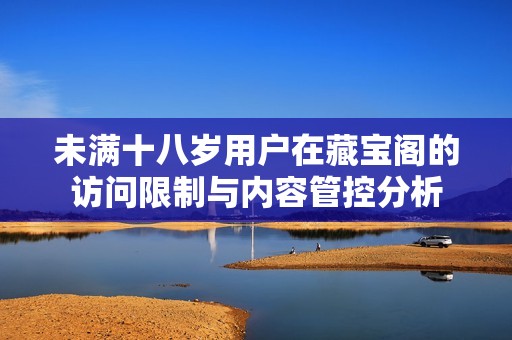 未满十八岁用户在藏宝阁的访问限制与内容管控分析
