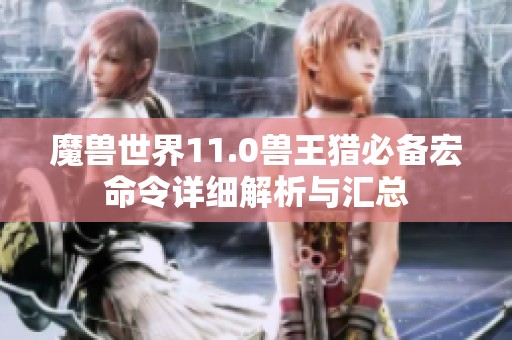 魔兽世界11.0兽王猎必备宏命令详细解析与汇总