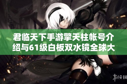 君临天下手游擎天柱帐号介绍与61级白板双水镜全球大战攻略分享