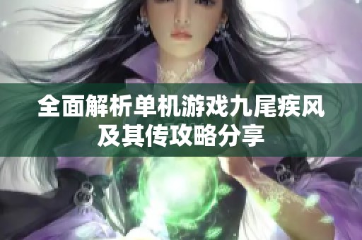 全面解析单机游戏九尾疾风及其传攻略分享