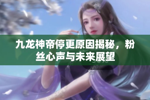 九龙神帝停更原因揭秘，粉丝心声与未来展望