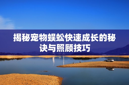 揭秘宠物蜈蚣快速成长的秘诀与照顾技巧