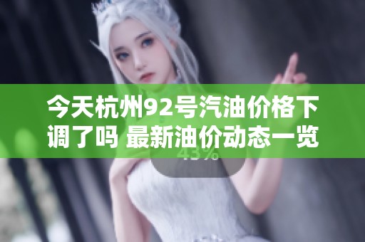 今天杭州92号汽油价格下调了吗 最新油价动态一览