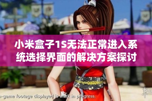 小米盒子1S无法正常进入系统选择界面的解决方案探讨