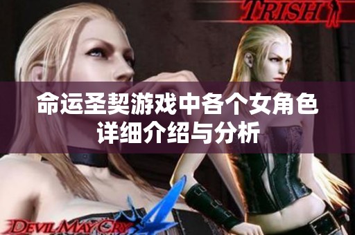 命运圣契游戏中各个女角色详细介绍与分析