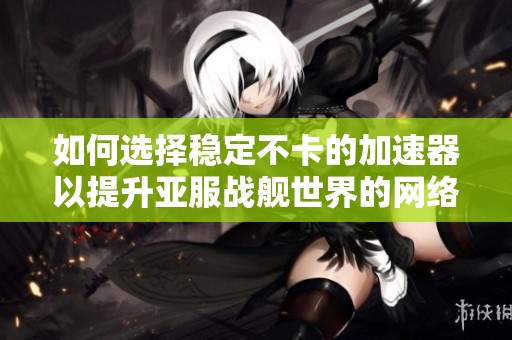 如何选择稳定不卡的加速器以提升亚服战舰世界的网络体验