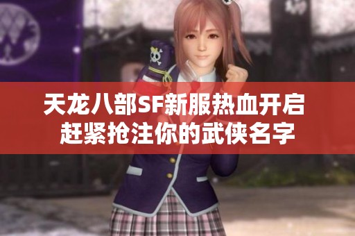 天龙八部SF新服热血开启 赶紧抢注你的武侠名字