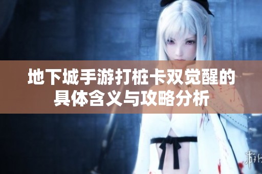 地下城手游打桩卡双觉醒的具体含义与攻略分析
