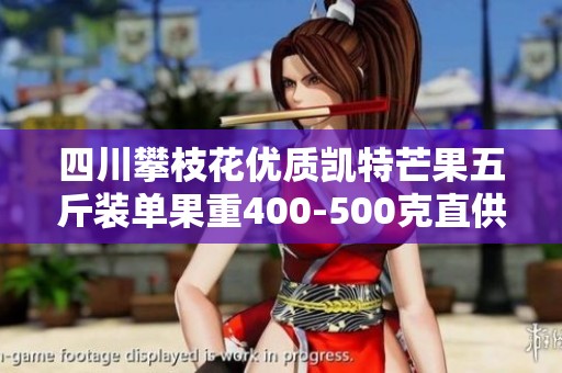 四川攀枝花优质凯特芒果五斤装单果重400-500克直供