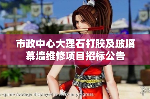 市政中心大理石打胶及玻璃幕墙维修项目招标公告