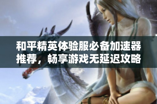 和平精英体验服必备加速器推荐，畅享游戏无延迟攻略