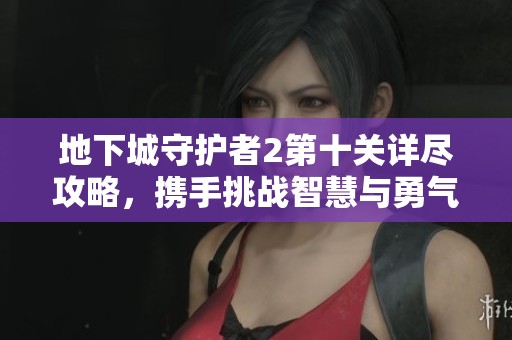 地下城守护者2第十关详尽攻略，携手挑战智慧与勇气的极限之旅