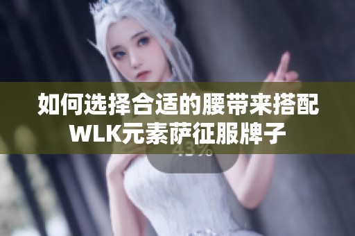 如何选择合适的腰带来搭配WLK元素萨征服牌子