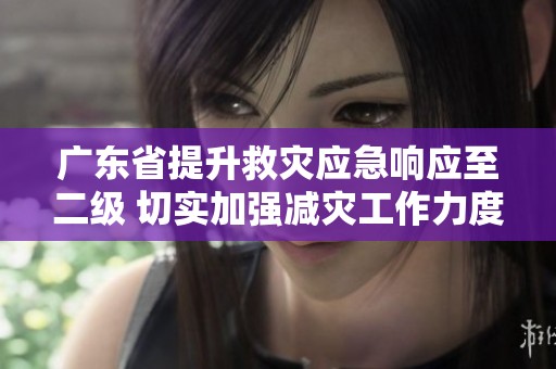 广东省提升救灾应急响应至二级 切实加强减灾工作力度
