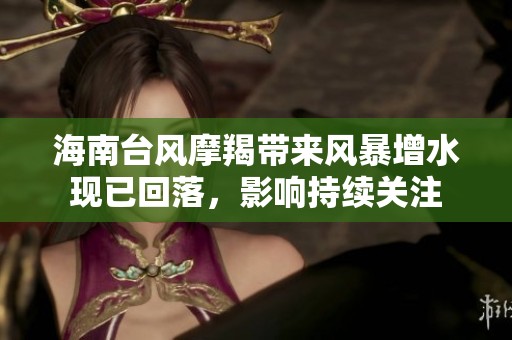 海南台风摩羯带来风暴增水现已回落，影响持续关注