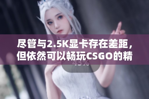 尽管与2.5K显卡存在差距，但依然可以畅玩CSGO的精彩体验