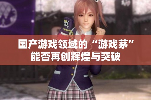国产游戏领域的“游戏茅”能否再创辉煌与突破