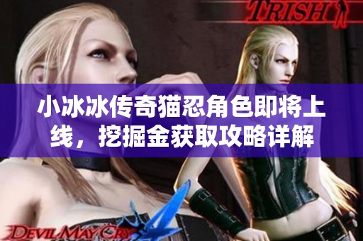 小冰冰传奇猫忍角色即将上线，挖掘金获取攻略详解