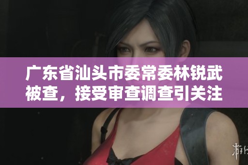 广东省汕头市委常委林锐武被查，接受审查调查引关注