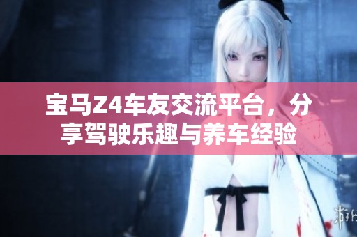 宝马Z4车友交流平台，分享驾驶乐趣与养车经验