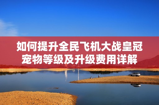 如何提升全民飞机大战皇冠宠物等级及升级费用详解